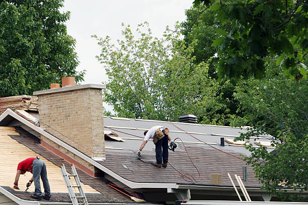 Best Roof Ventilation Installation  in Eastpointe, MI